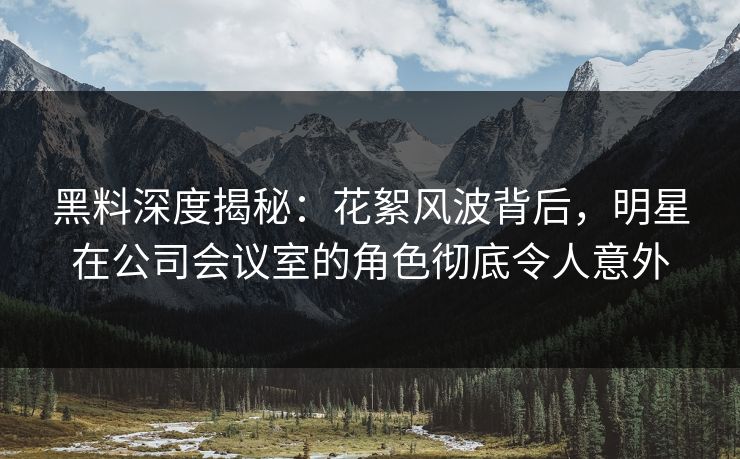 黑料深度揭秘：花絮风波背后，明星在公司会议室的角色彻底令人意外