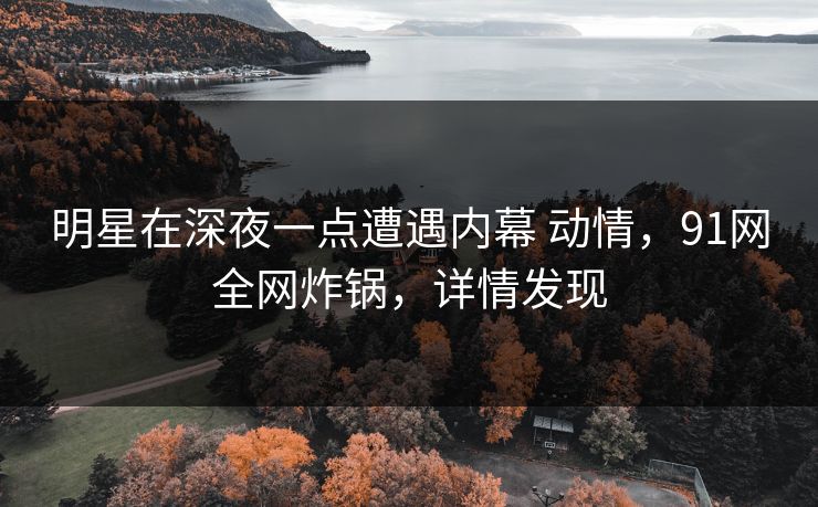 明星在深夜一点遭遇内幕 动情，91网全网炸锅，详情发现