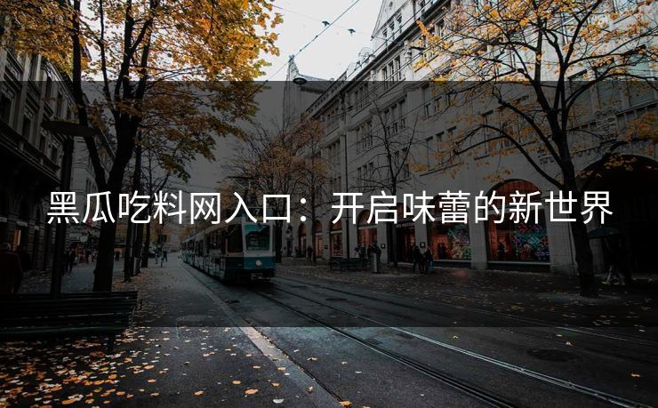 黑瓜吃料网入口：开启味蕾的新世界