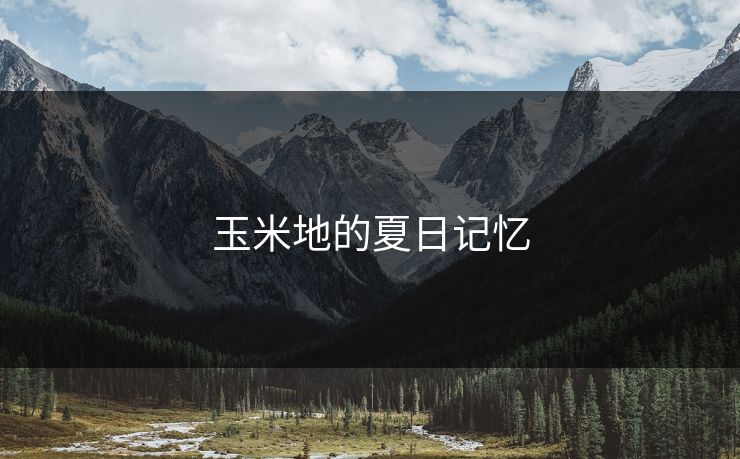 玉米地的夏日记忆